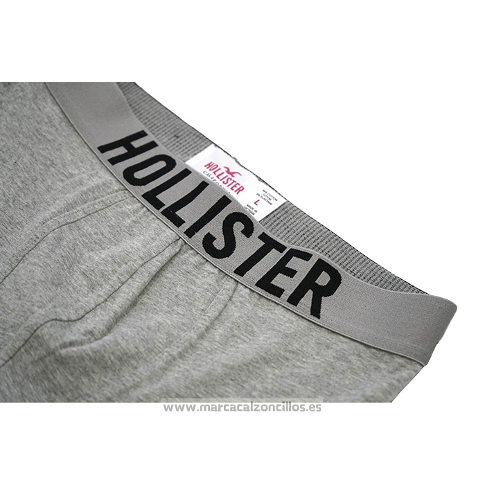 Boxer Hollister Hombre Gris